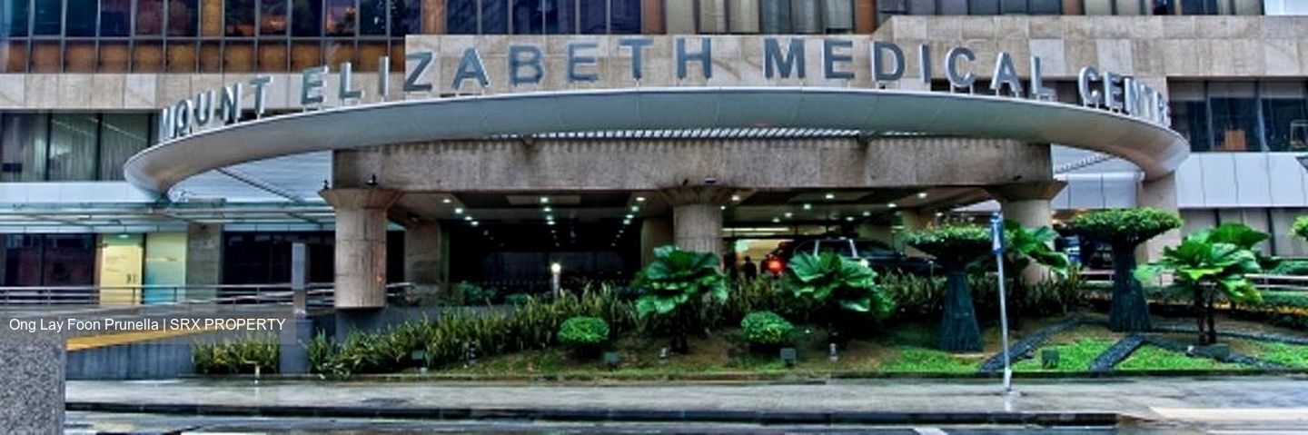 Mount Elizabeth Hospital (D9), Retail #521905691